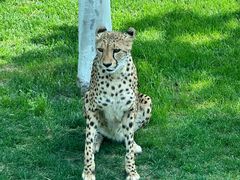 -北京野生动物园