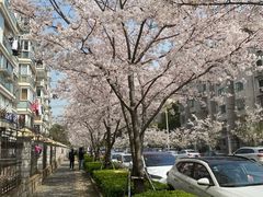 -永乐路-路侧停车场
