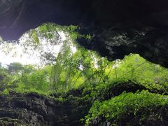 -华蓥山天意谷景区