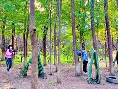 -亲兄弟真人CS团建拓展基地