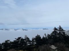 -神农架景区