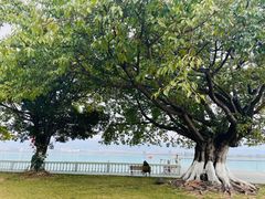 -西昌邛海宾馆
