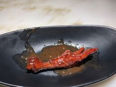 -佬肥猫(国华广场店)