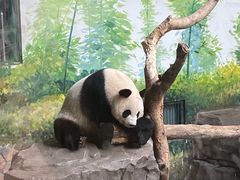 -南昌动物园