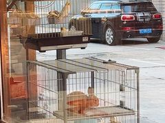 -小城外婆肴私房菜.家宴聚集点(圆明园颐和园·清河上地店)