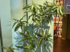 -南堂馆·新川菜(春熙路店)