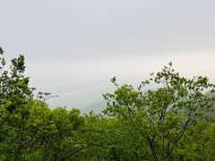 -紫金山山顶公园