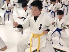 -极真空手道修远道场