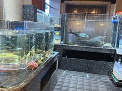 -许家菜(望江店)