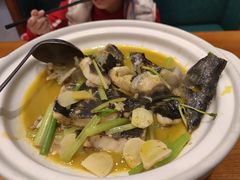 -饭怕鱼(阳光100店)