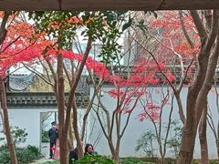 -秋霞圃