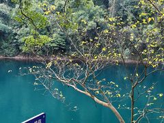 -鼎湖山风景区