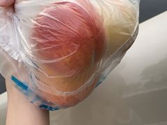 -宾湖农庄·农场特色(太湖龙之梦店)