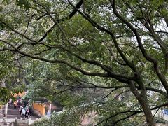 -普陀山风景名胜区-法雨禅寺