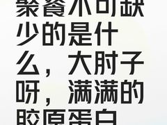 -老码头黑皮肘子锅包肉(文政街店)