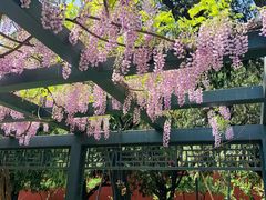 -北京市劳动人民文化宫(太庙)