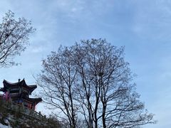 -秦岭终南山世界地质公园翠华山景区
