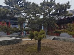 -汤阴县羑里周易博物馆