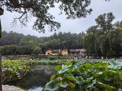-韶山毛泽东同志故居