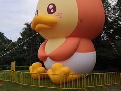 -观澜湖生态运动公社