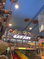 点击看大图 -卡通尼·Safari非洲探索乐园·生日会(金桥国际商业广场店)