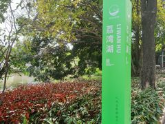 -荔湾湖公园