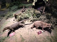 -陕西自然博物馆