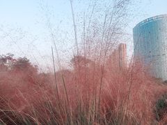 -艾溪湖湿地公园