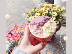 意式大米&nbsp;Riso-Dal Cuore 达可芮冰淇淋(陕西北路店)
