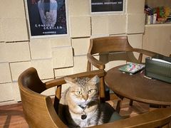 -H立方实景剧情密室(天河旗舰店)