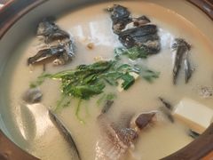 白汤有机鱼头-千岛湖小鱼儿·淳安匠心农家菜