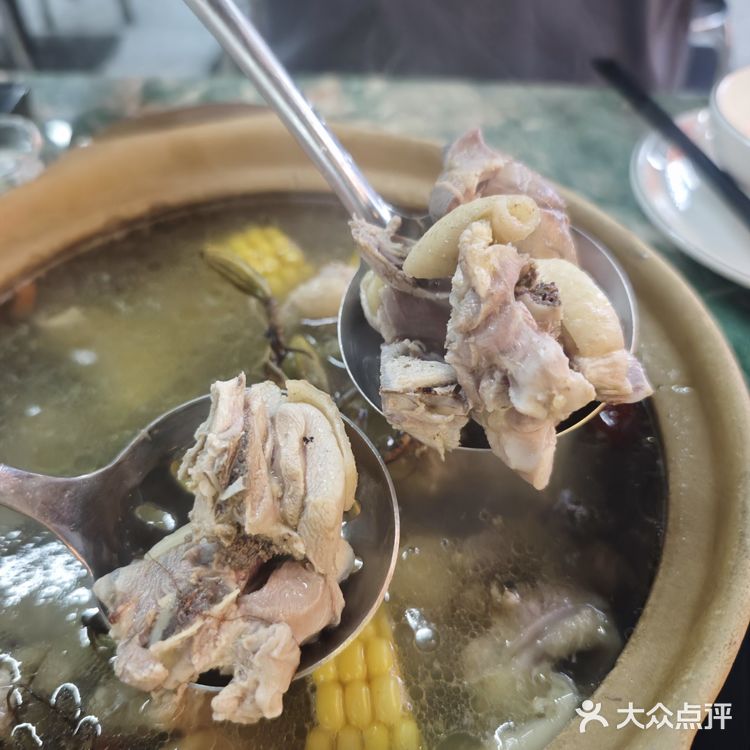 减肥减脂吃这些｜感冒完当然要吃石橄榄土鸡煲