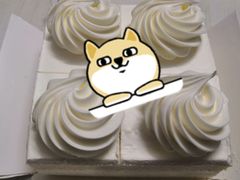 -Caidie Bakery采蝶轩(钟村店)