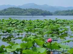 -西湖游船