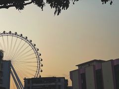 -幻彩摩天轮