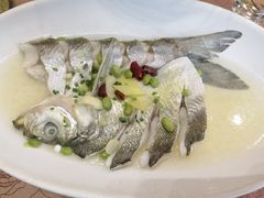 太湖白鱼-红樽舫湖州菜.湖景餐厅(太湖渔人码头店)