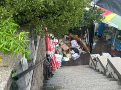 -海边的猫和咖啡馆