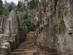 -长虫山生态公园风景林