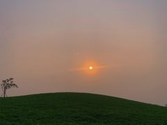 -白鹭湾湿地公园