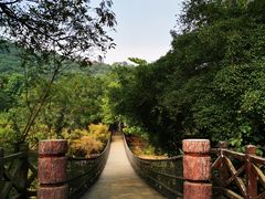 -南宁良凤江国家森林公园