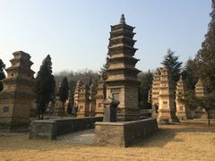 1830 塔林~已故方丈及高僧的墓冢~-少林寺景区
