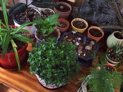 Rabbit私房甜点咖啡-Rabbit Cafe私房西餐甜点咖啡(栖霞路店)