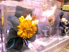 -KKV(上海月星环球港店)