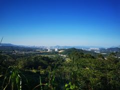 -黄埔油麻山森林公园