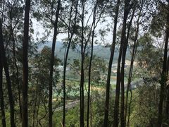 -旗岭森林公园