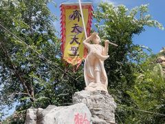 -大岭沟猕猴桃谷风景区