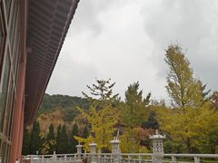 -横山寺