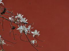 -梅花山(明孝陵内)