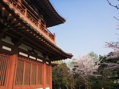 -西安青龙寺遗址景区