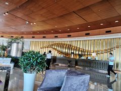 -青岛得宝湾维景国际大酒店(五四广场奥帆中心店)